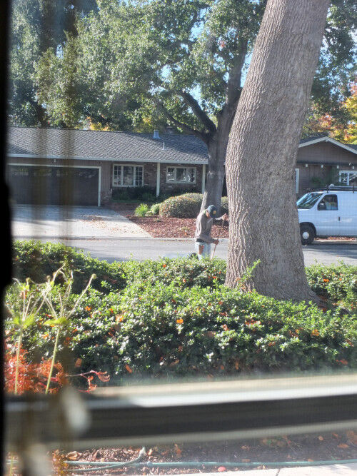 2025-11-07-gardener2