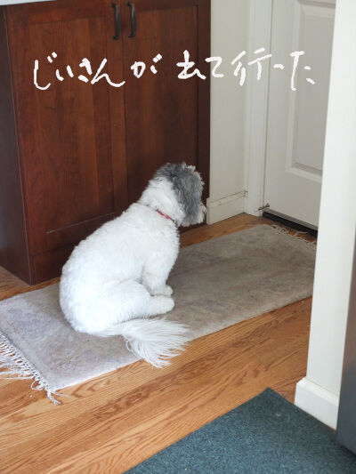 2025-02-21-charlie1