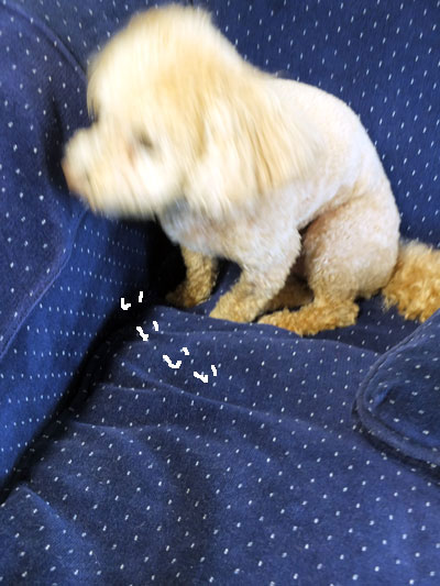2017-03-21-an3