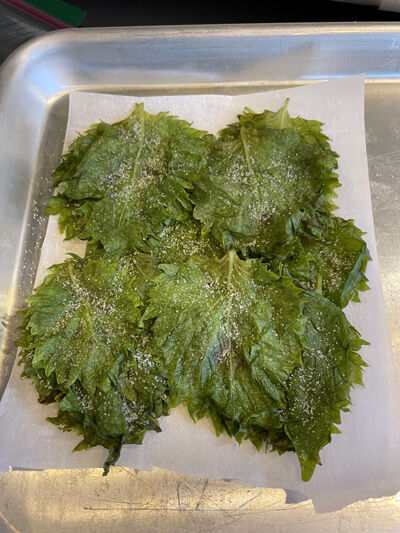 2023-07-04-shiso5