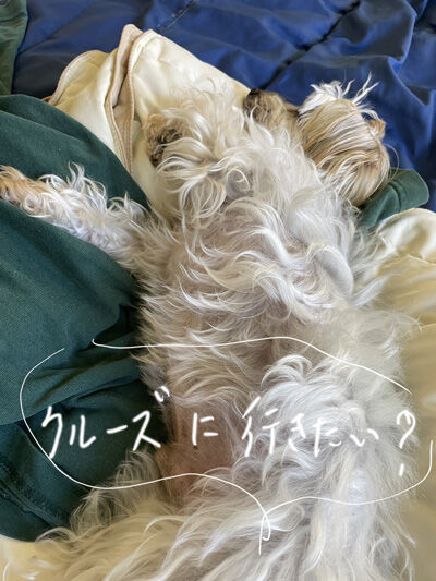 2022-03-09-rasta2