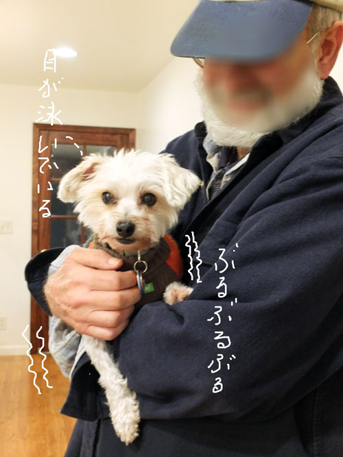 2018-11-15-konan1