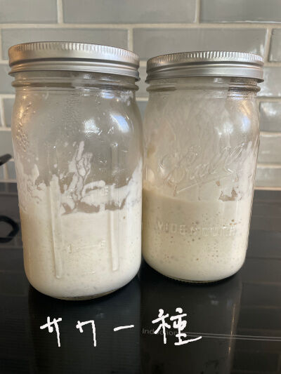 2025-01-06-sourdough3