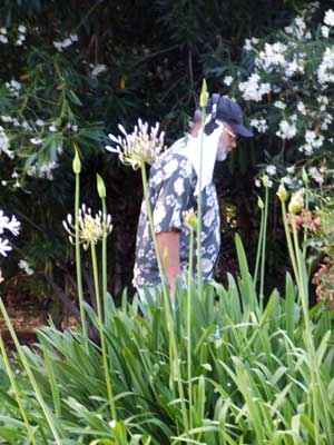 2014-07-09-walk4