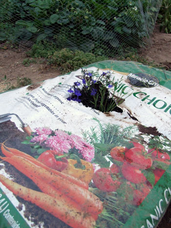 2012_07_21-loberiabag