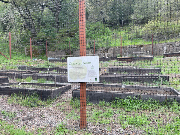 2026-03-03-farm1