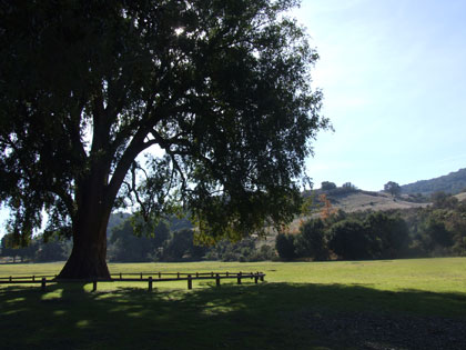 2015-12-01-rancho1