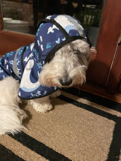 2026-02-17-charlie