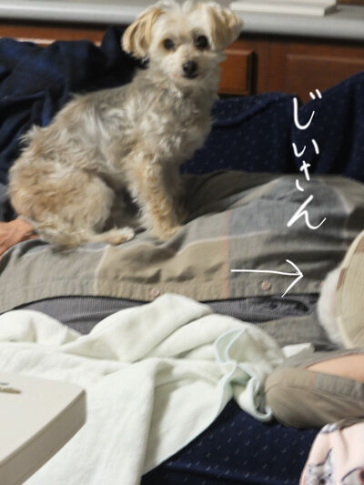 2021-05-12-rasta1