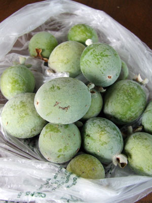 2015-11-17-guava