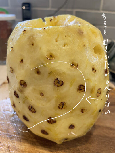 2023-03-18-pineapple4