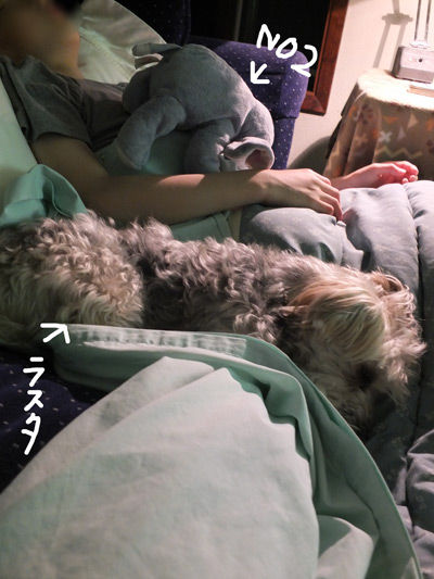 2019-11-01-sleeping