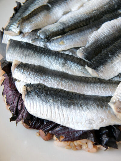 2026-08-31-sardine4
