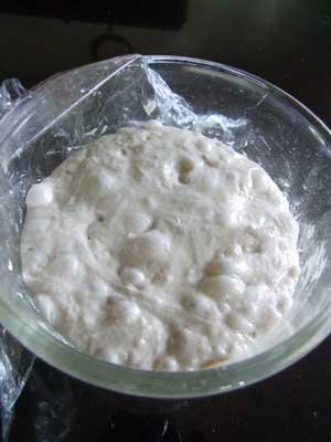 2014-09-24-poolish