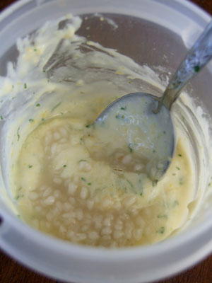 2012_04_28-mayo