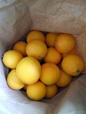 2015-05-08-oranges