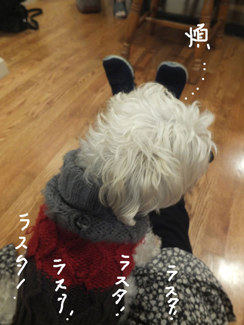 2019-01-19-rasta3