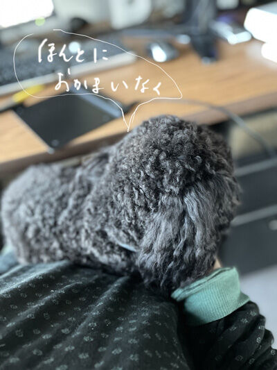 2021-12-05-oreo9