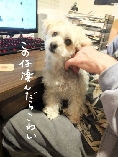 2019-11-30-fight2