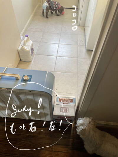 2023-01-03-judy3