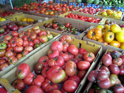 2010_11_05_tomatoes3