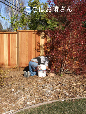 2012_03_08_fence