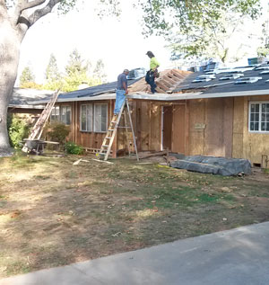2015-11-07-frontyard