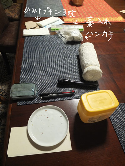 2019-12-05-hand4