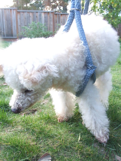 6E033B3B-FFBE-4D16-AEA1-BFDD5460CABB