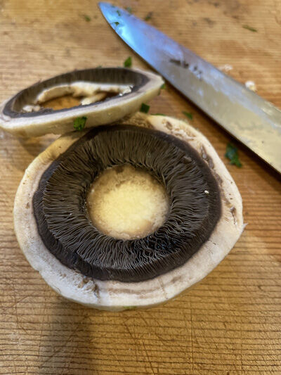 2023-01-15-mushroom5