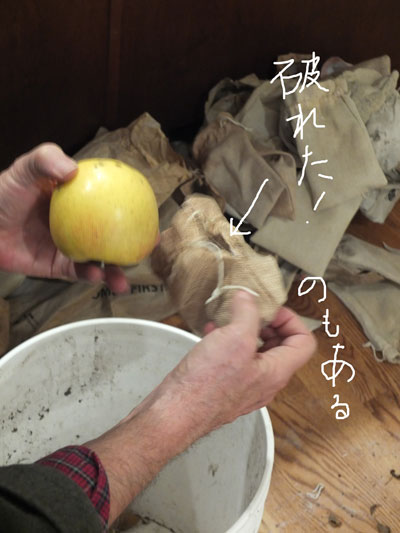 2018-12-26-apple3