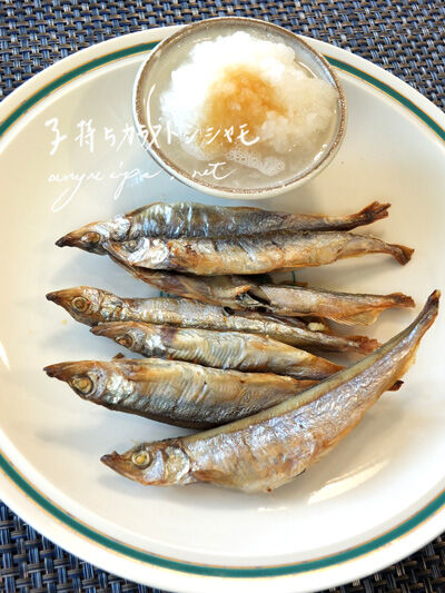 2020-12-21-fish2