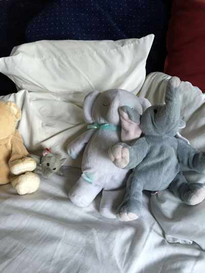 2018-11-24-thanksgiving3