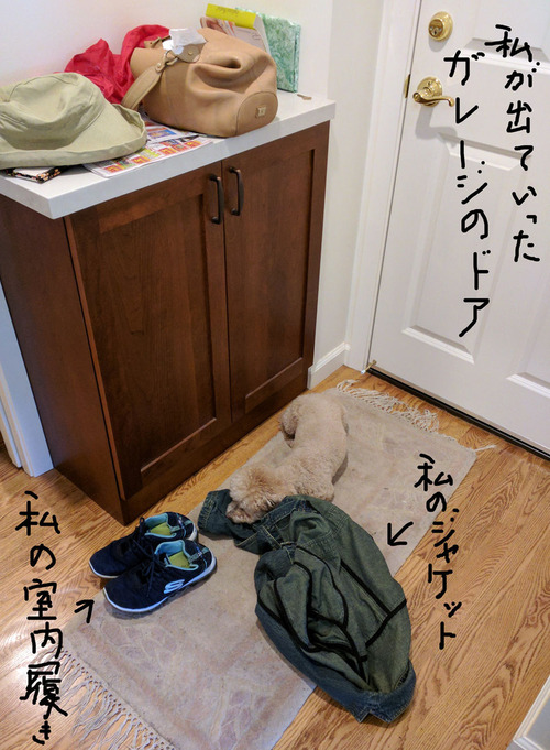 2019-06-20-an1