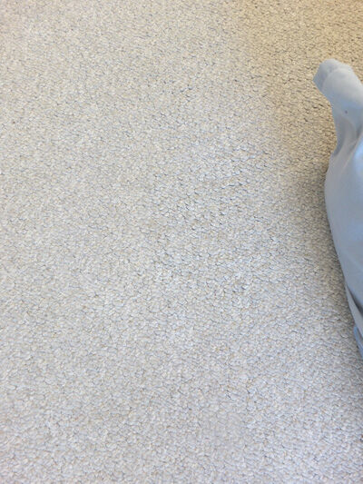 2021-08-13-carpet3