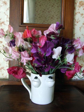 2015-04-13-sweetpeas