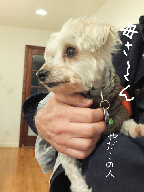 2018-11-15-konan4