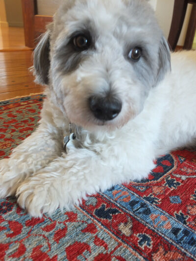 2025-08-09-charlie2