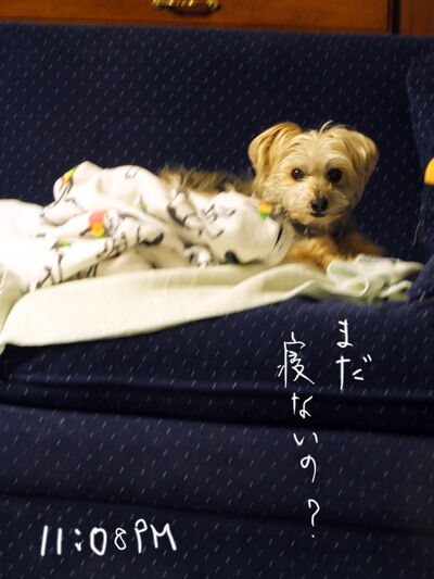 2021-02-07-rasuta
