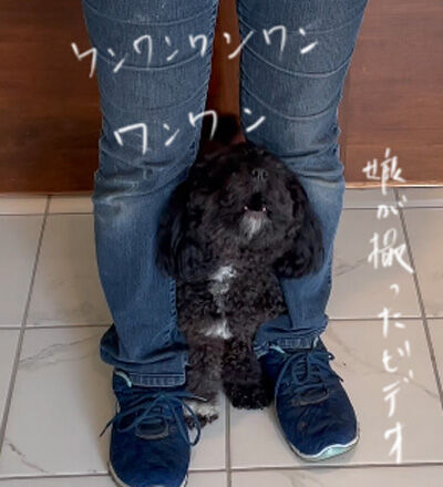 2022-02-11-oreo5