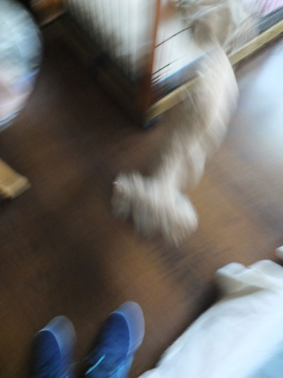 2017-04-01-an6