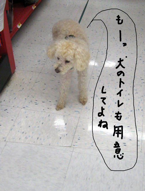 2019-09-27-chibi2