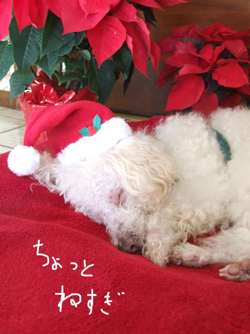 2017-12-21-chibi3