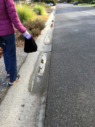 2020-11-07-walk6