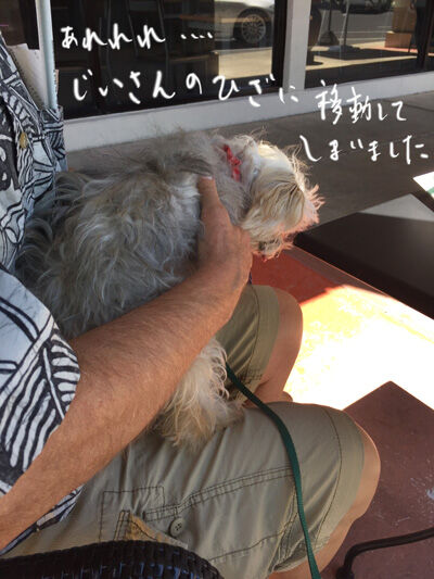 2021-05-27-rasta2
