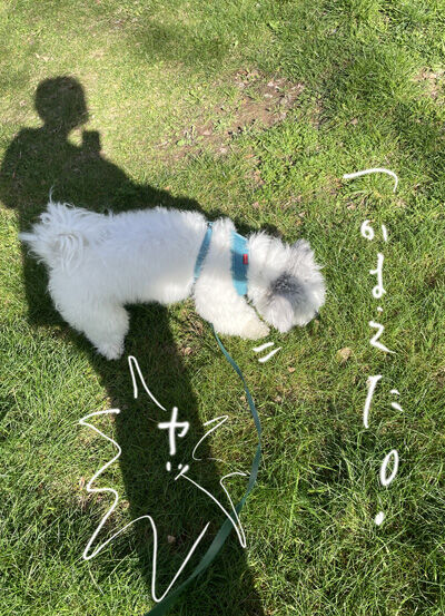 2024-02-09-charlie4