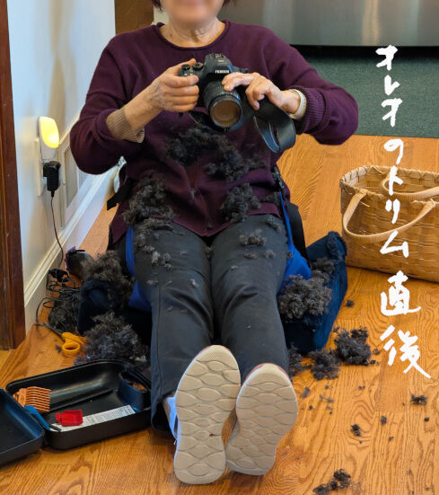 2025-11-11-aftertrim