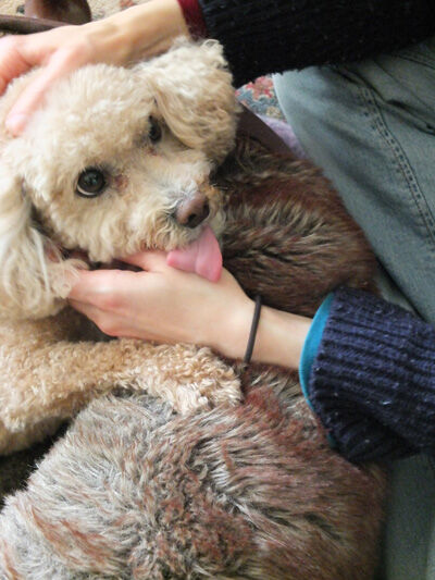 2021-01-21-anzu2