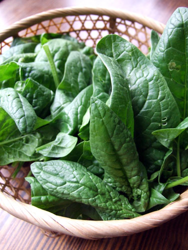 2010_05_24_spinach