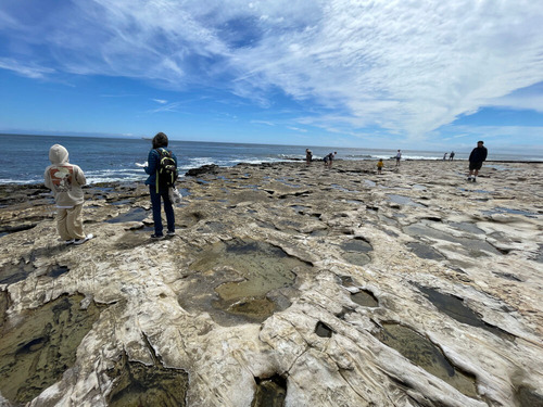 2025-07-23-santacruz6